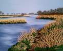 Carruthers Creek