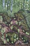 Forest Floor