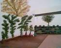 The Courtyard 