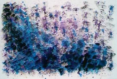 Blue Spruce